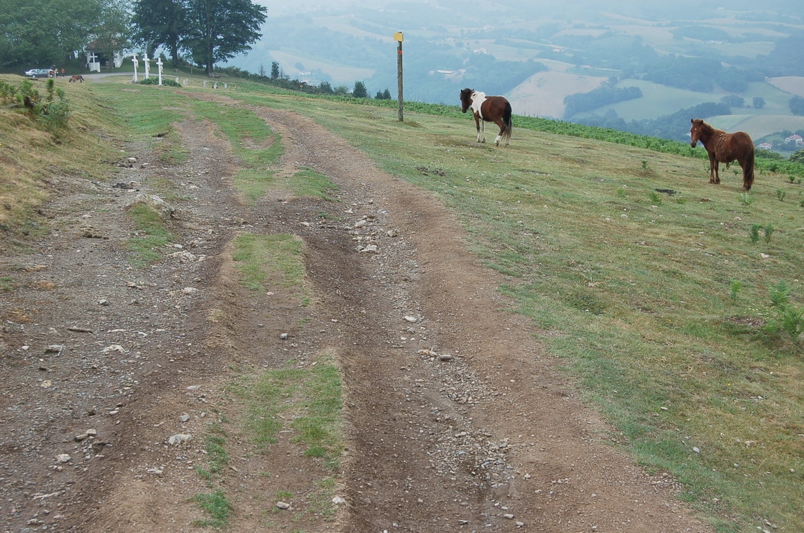 04_Plateau des 3Croix.jpg